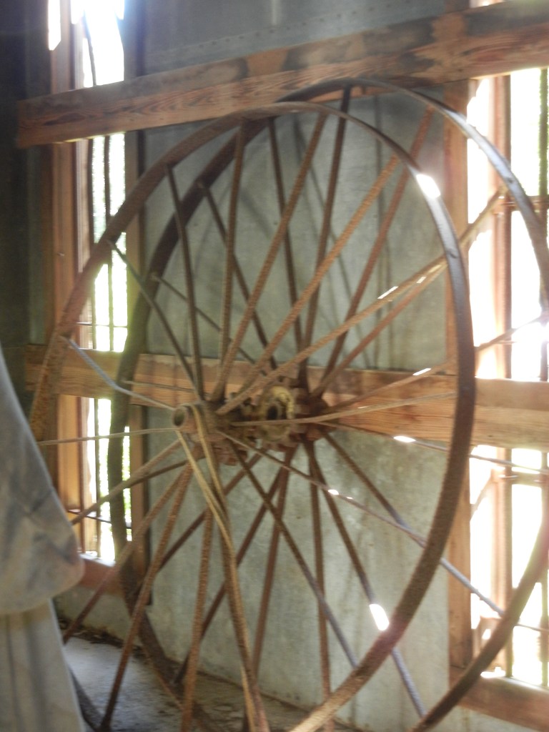 Abandoned Wheels, Seguin, Tx 2016